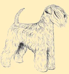 VDH logo