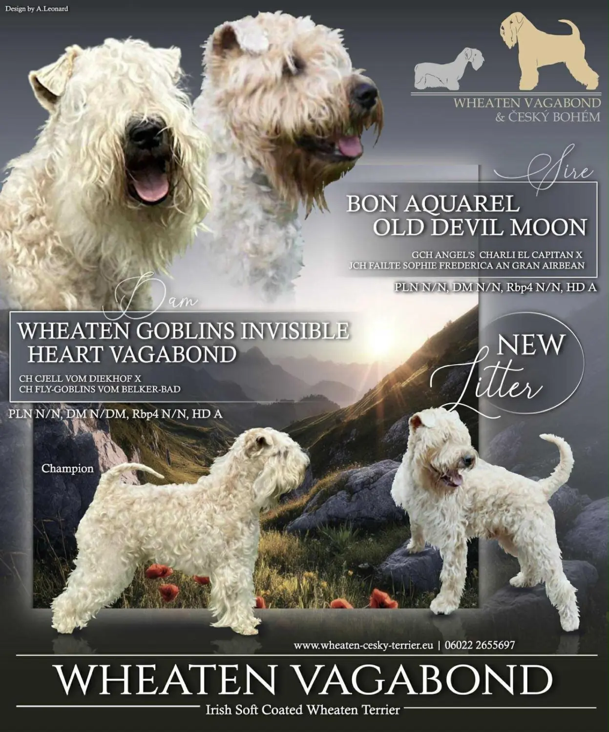 Hund mit Babys von Wheaten Vagabond