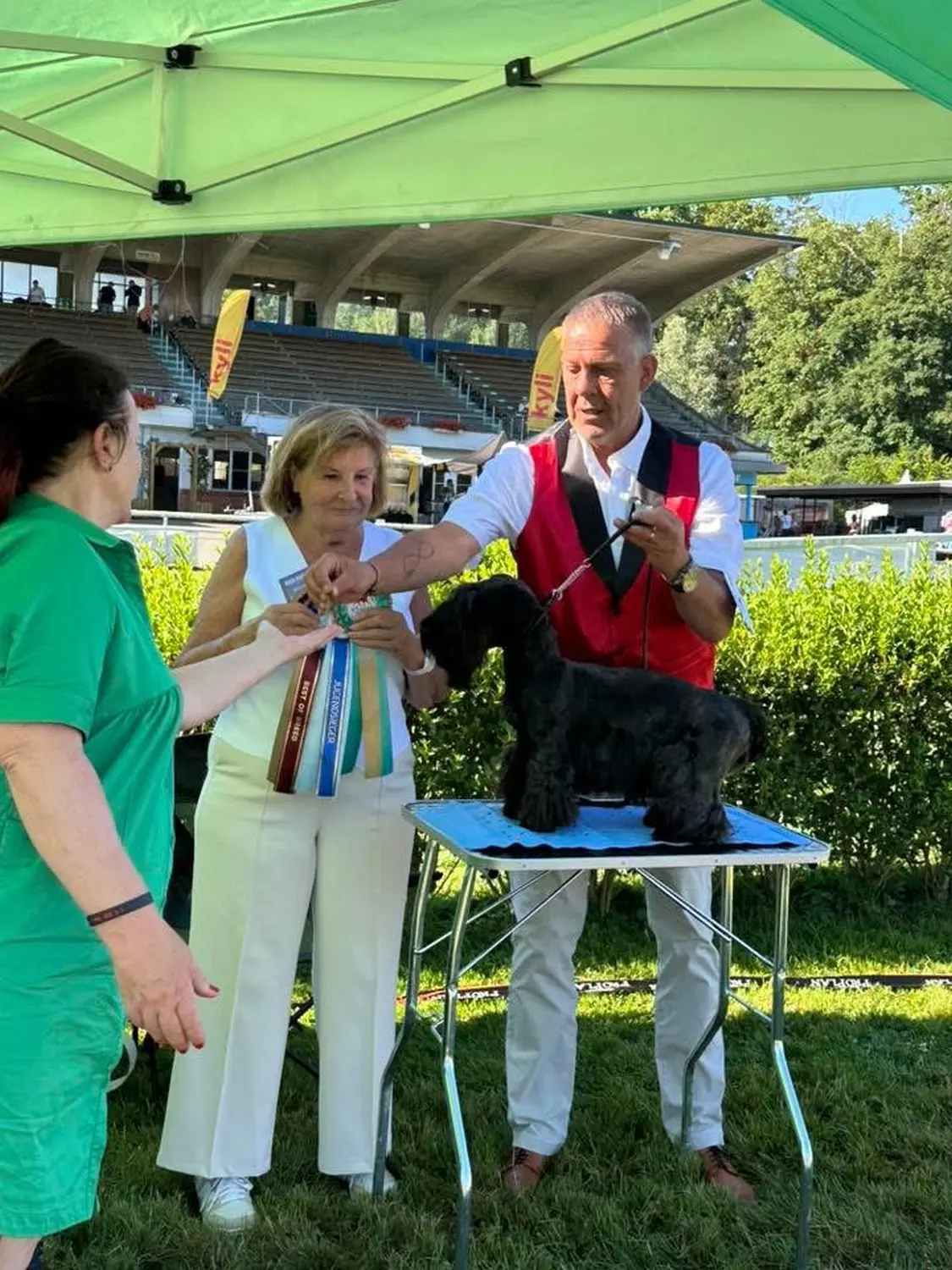 Hunde von Wheaten Vagabond