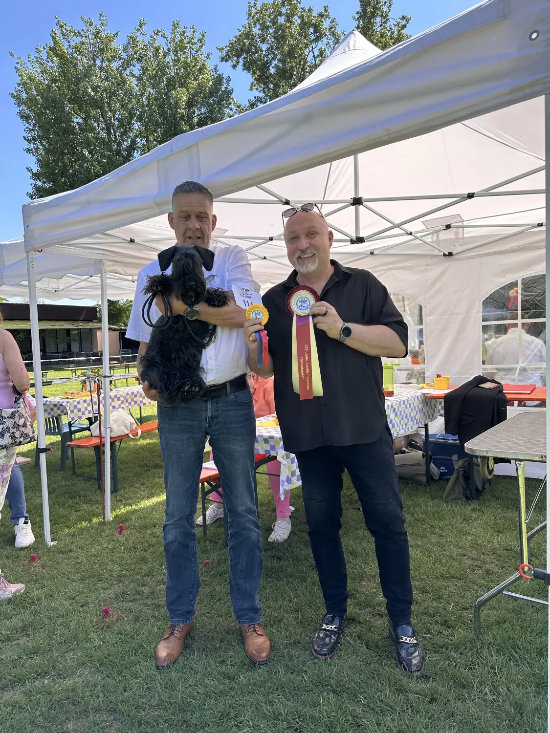 Hunde von Wheaten Vagabond