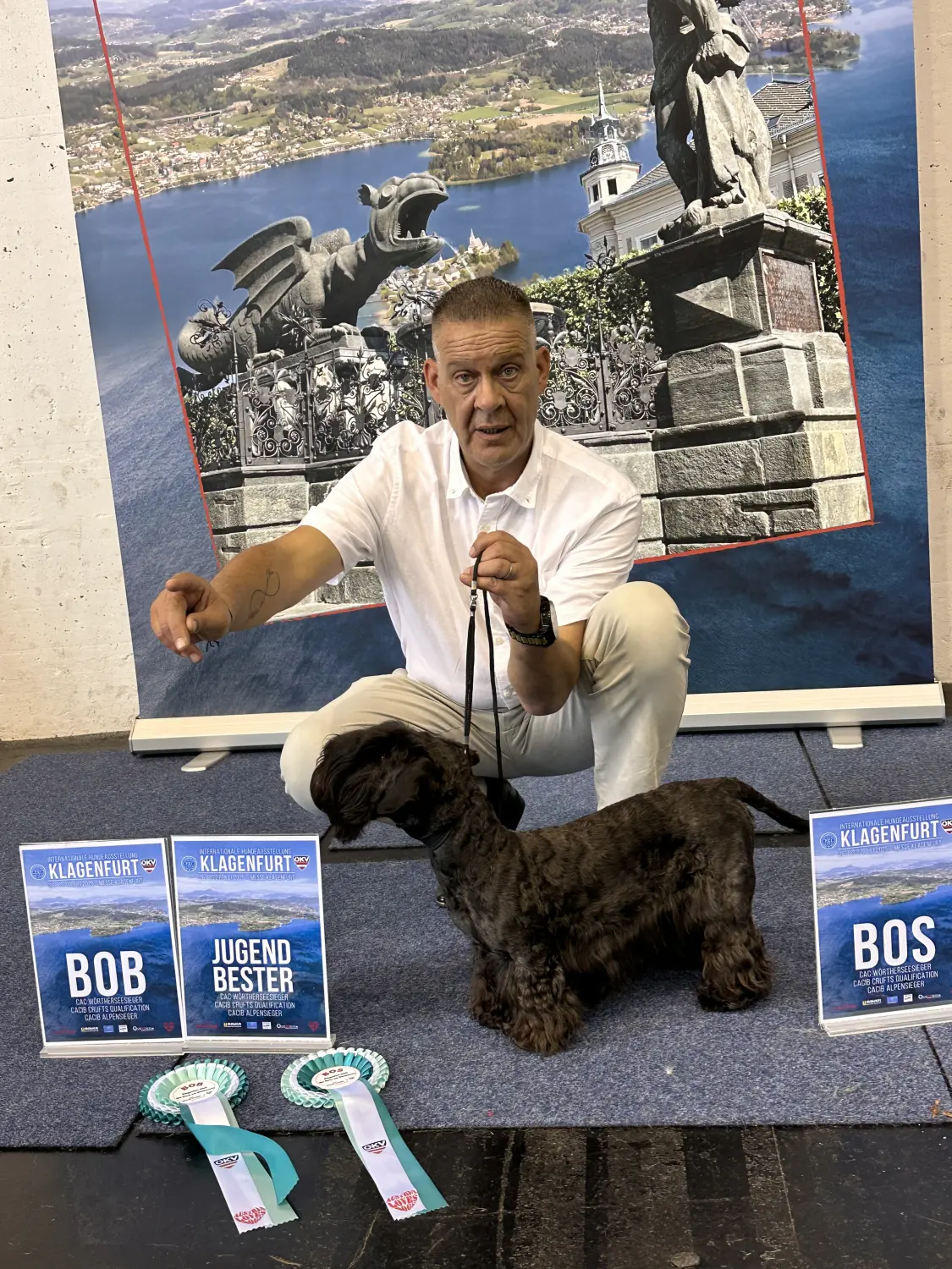 Hunde von Wheaten Vagabond