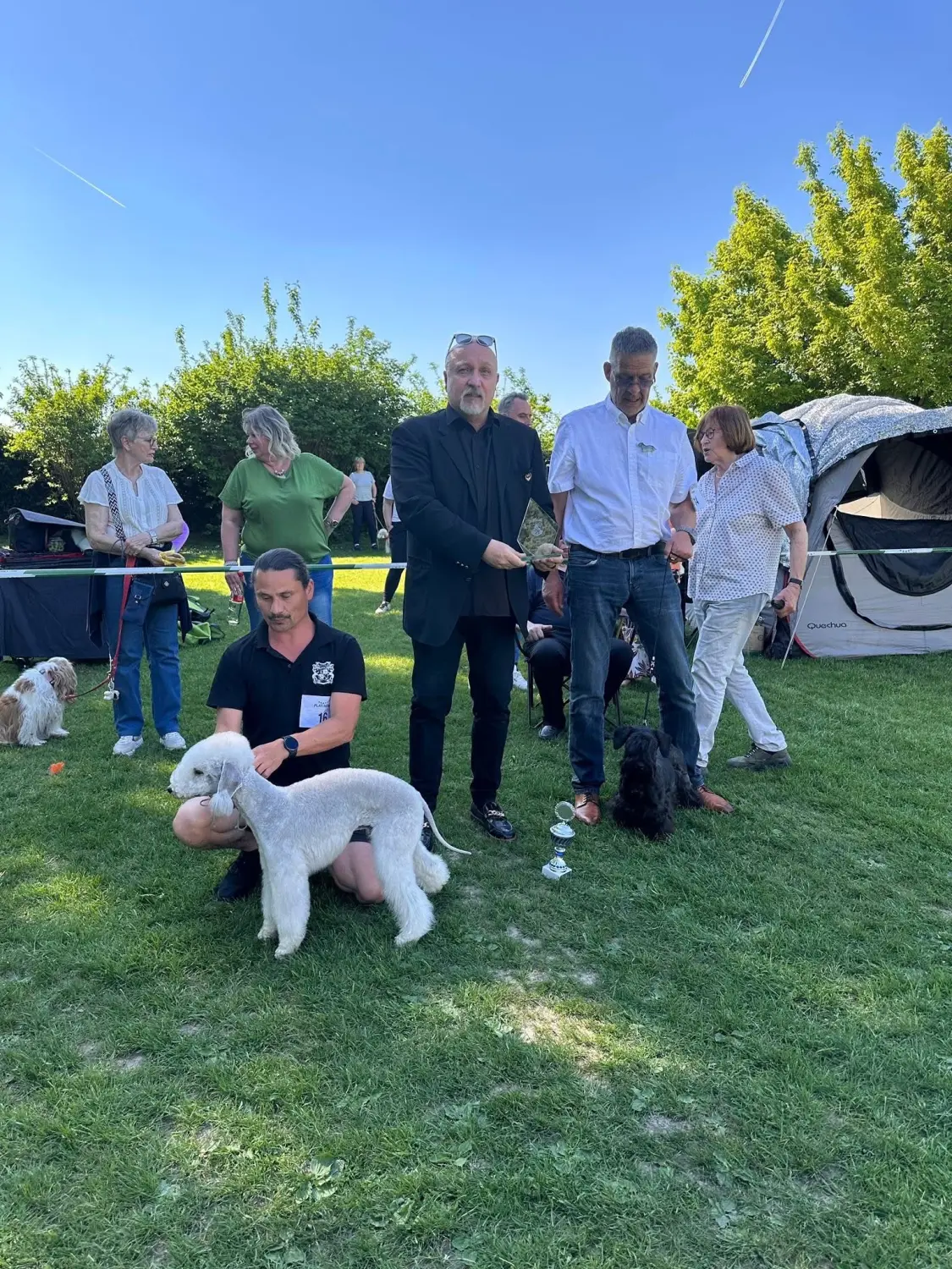 Hunde von Wheaten Vagabond