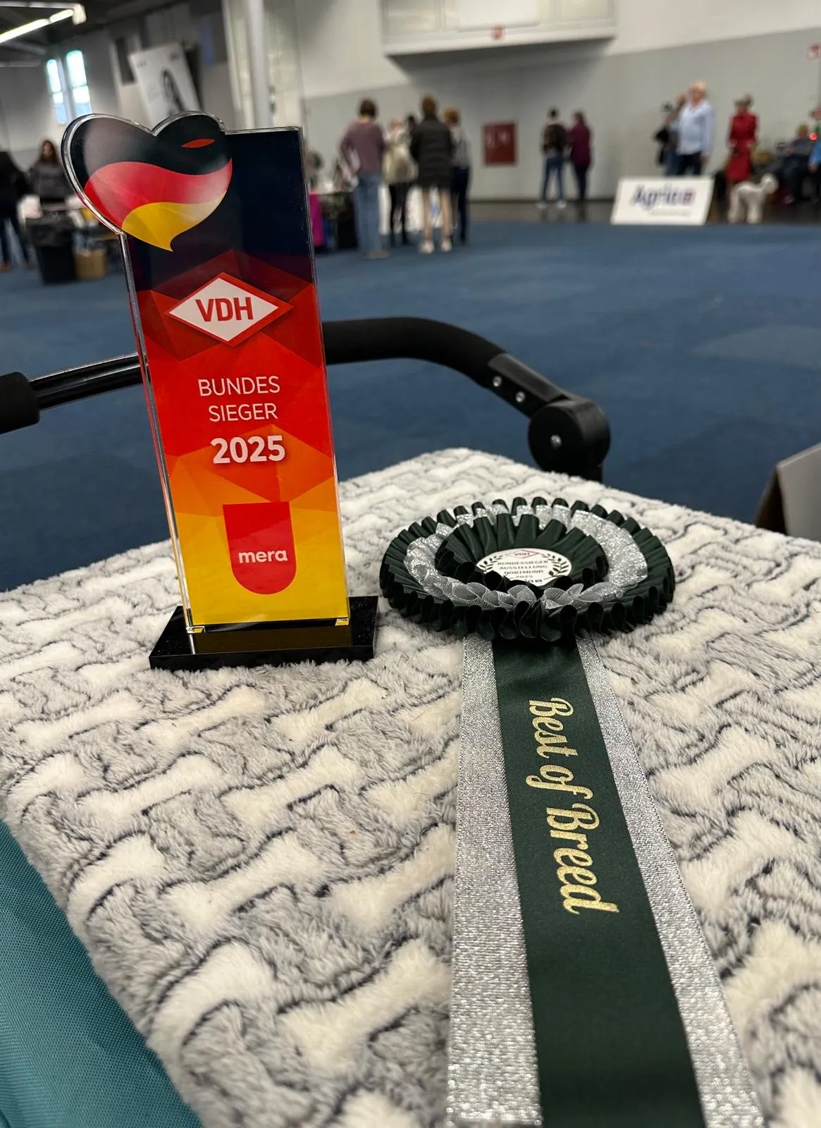 Hunde von Wheaten Vagabond