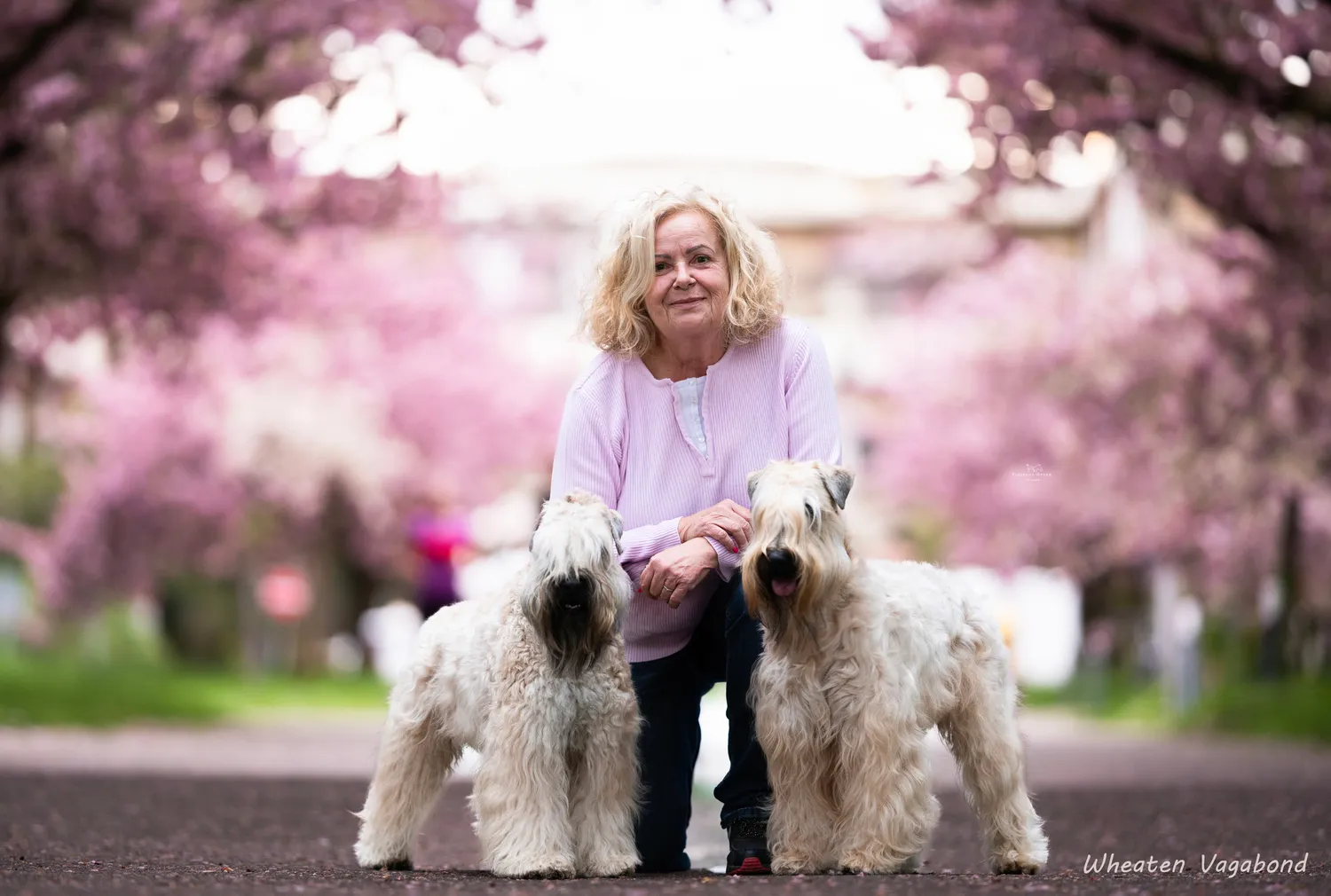 Leona Barthel-Süchting / Frank Süchting mit Hunden