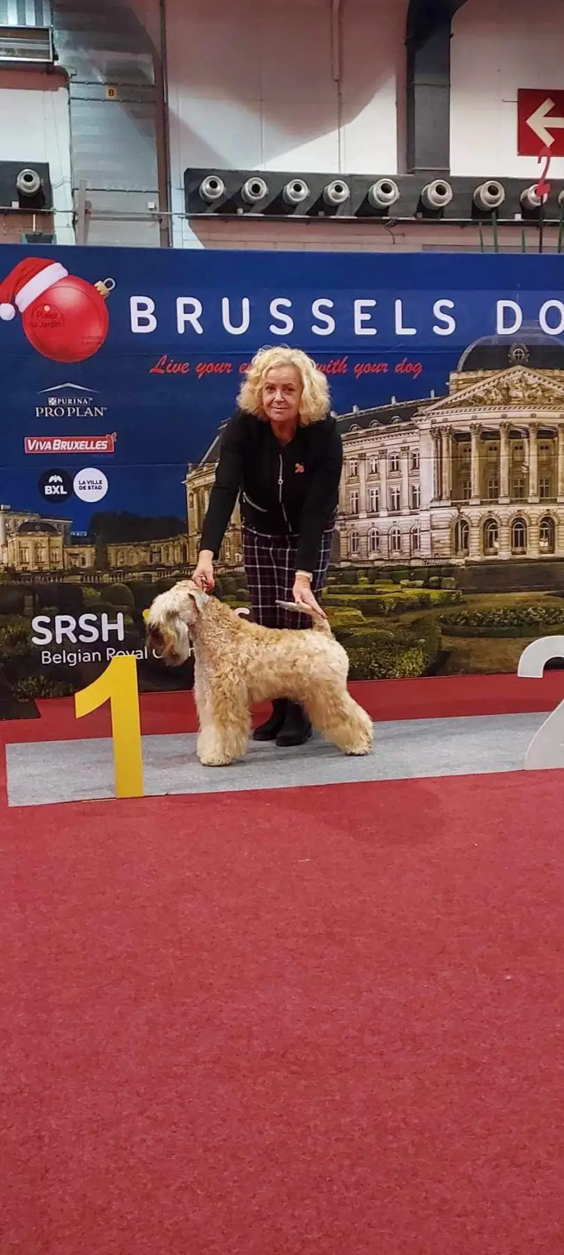 Internationale Frühlingshundeausstellung von Wheaten Vagabond