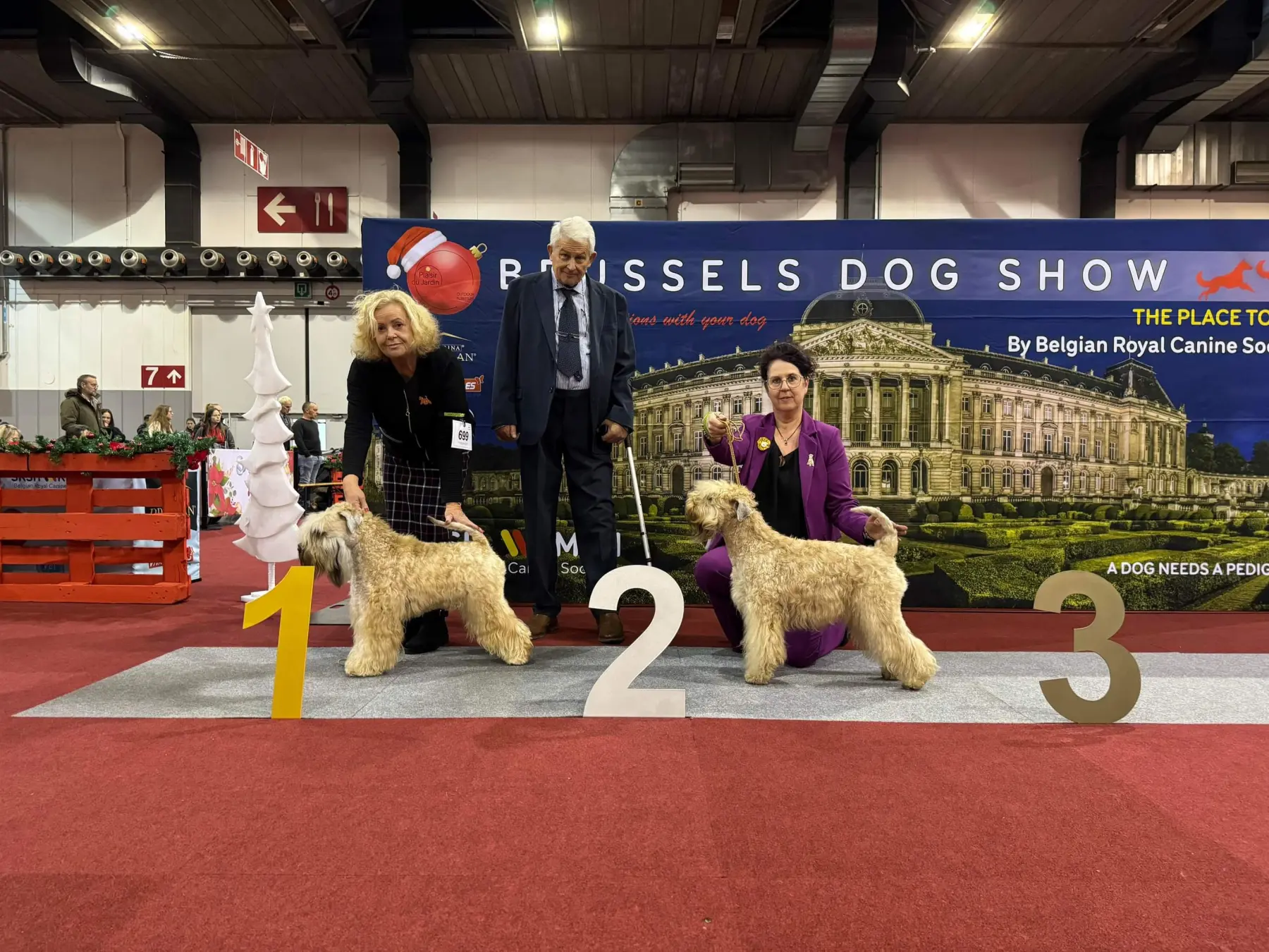 Internationale Frühlingshundeausstellung von Wheaten Vagabond